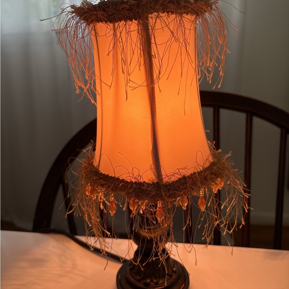 Elegant Small Table Lamp with Fringe and beads